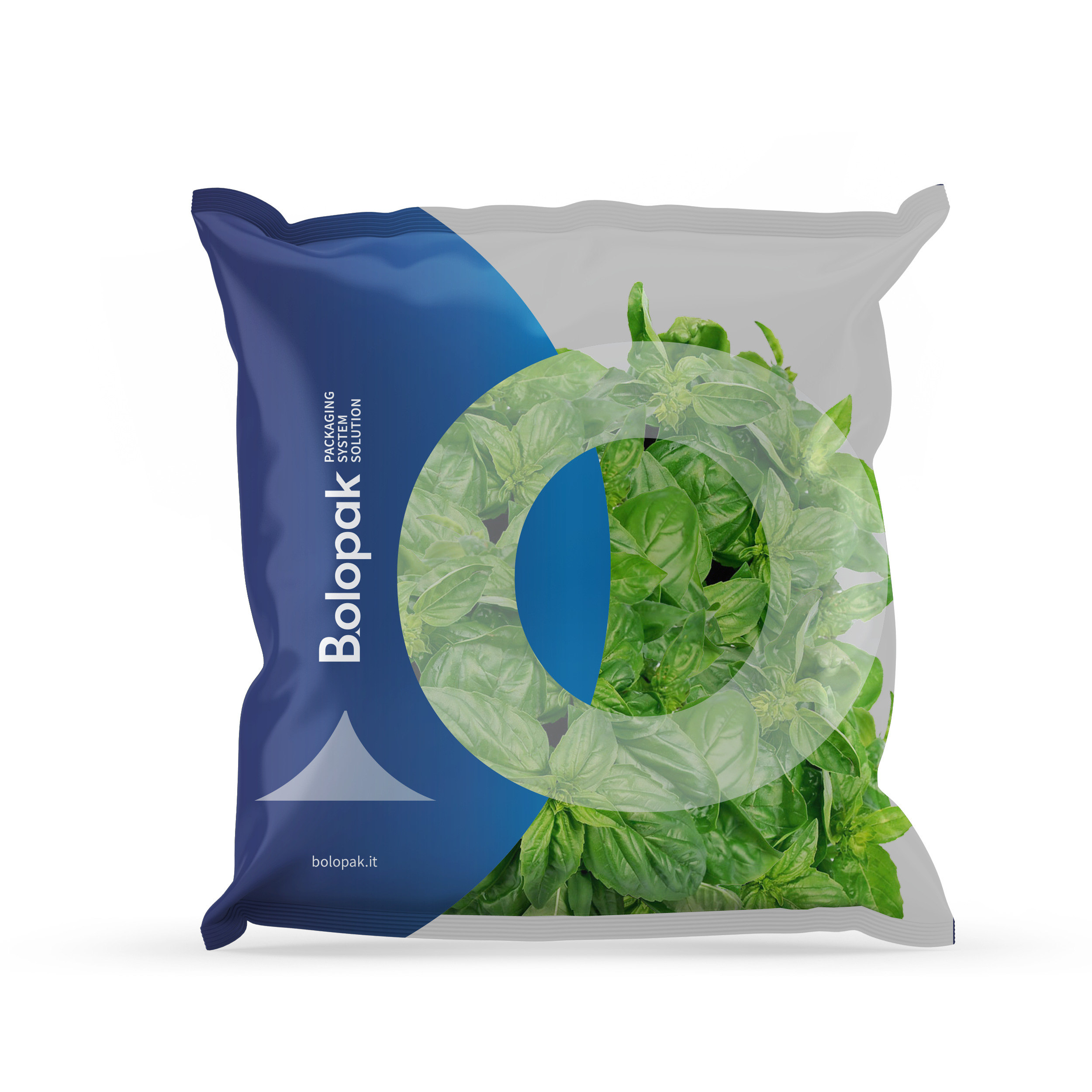 01 Transparent Pouch Packet Mock-Up
